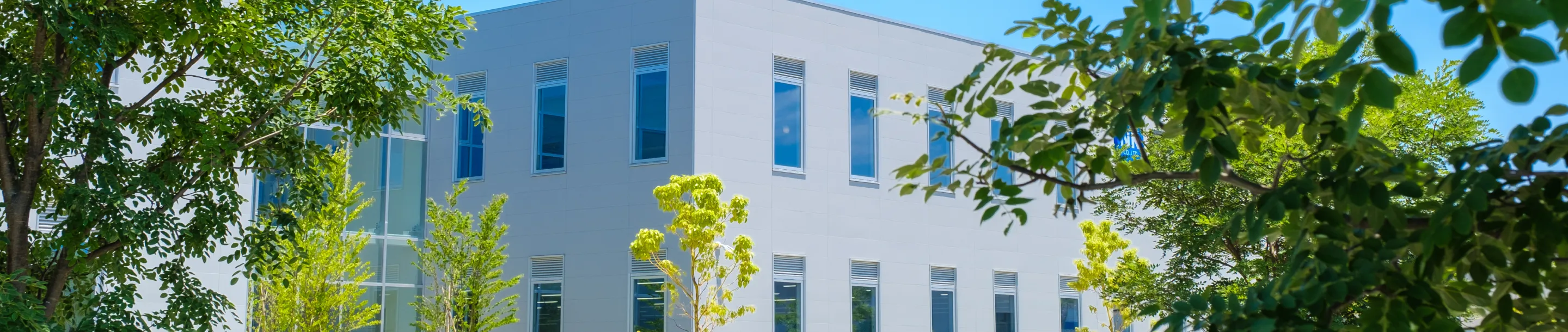 東京都品川区について