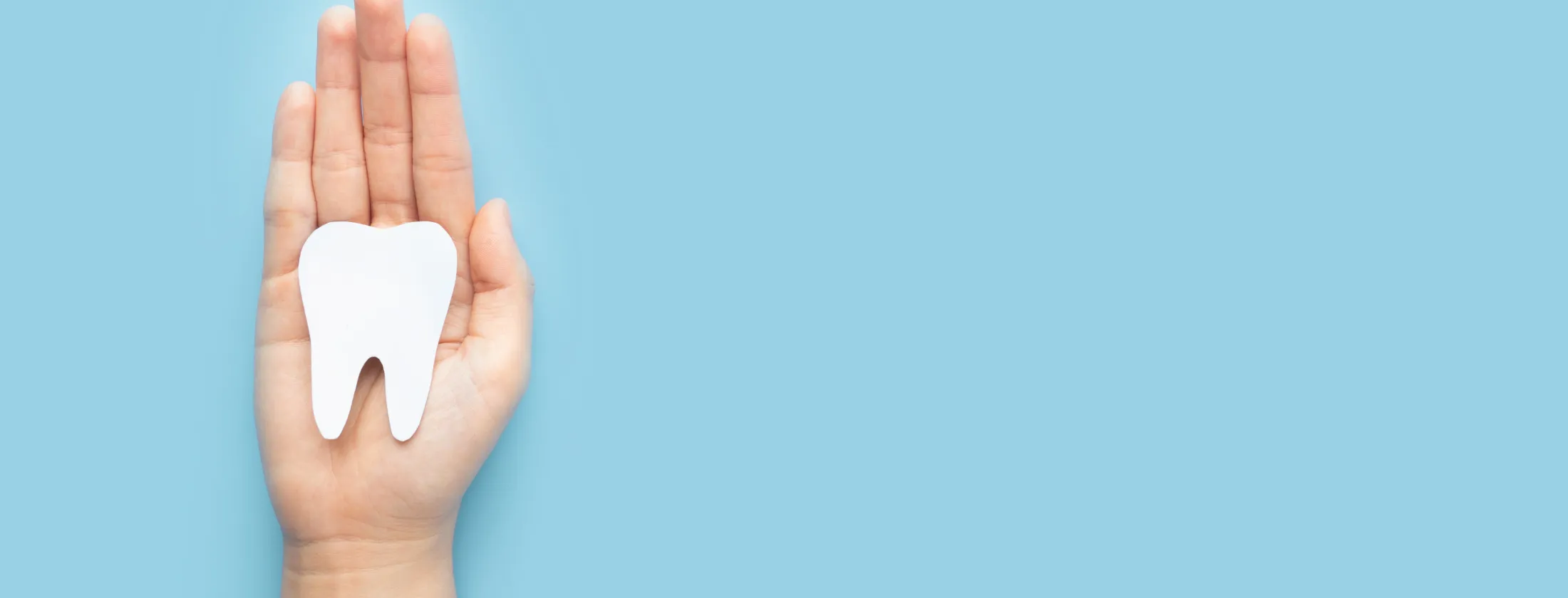 2. 目指す“精密審美治療”とは