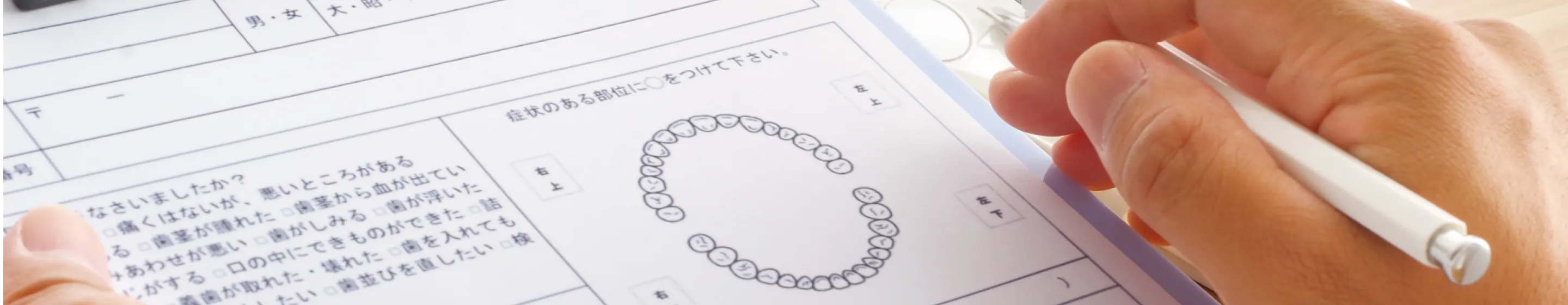 ファーストビュー