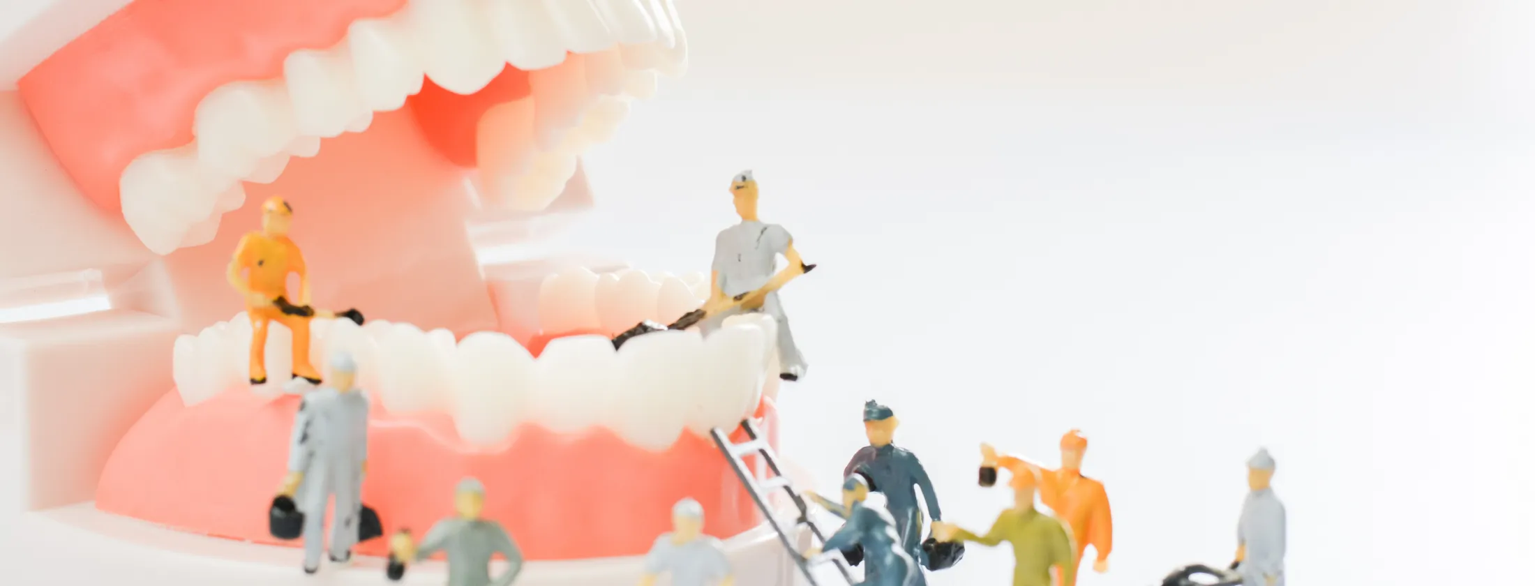 8. 重度虫歯治療で大切にしている “歯を残すための基準”