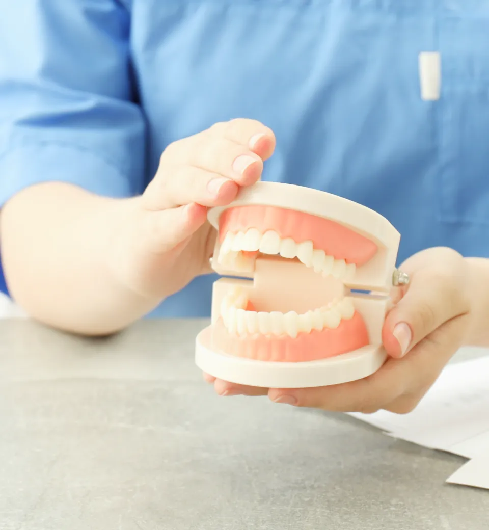 Reason02 背景画像