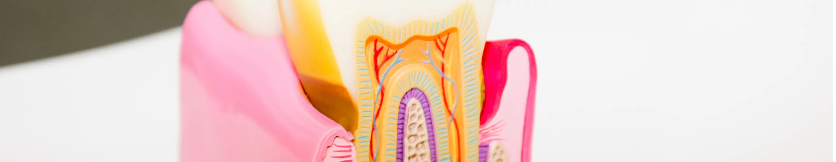 ファーストビュー