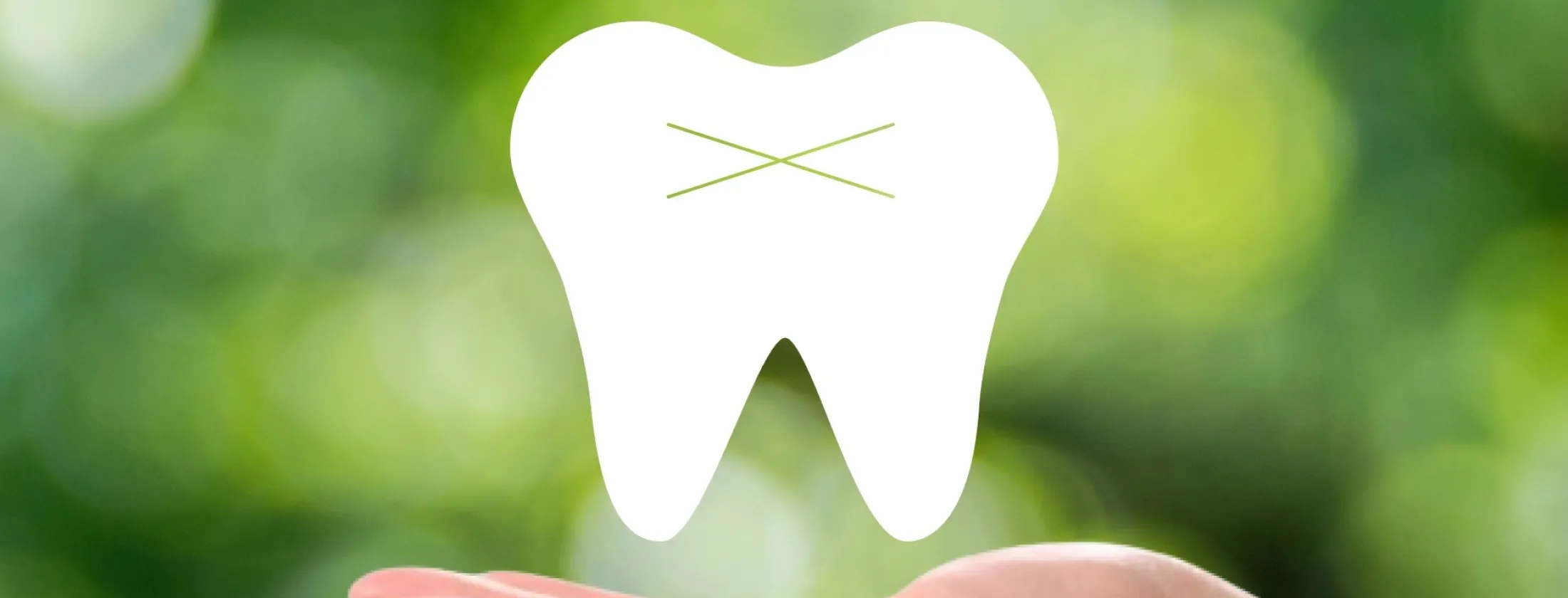 2. 再生療法の適応症 ― どんなケースで“歯を救える”のか