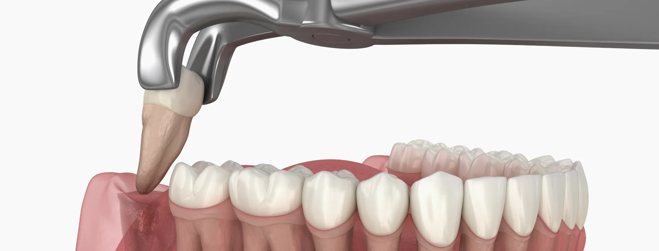 6.移植治療の成功率と科学的根拠