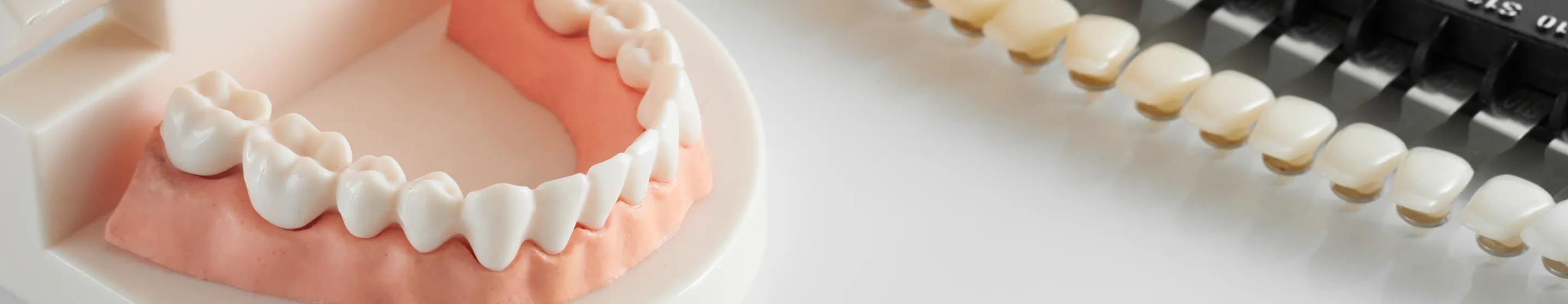 ファーストビュー